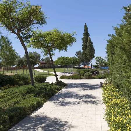 太阳公主酒店 酒店